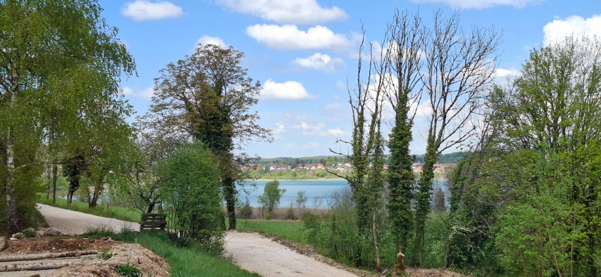 Gites Aux Granges Du Vilaret Clairvaux-les-Lacs Exterior foto